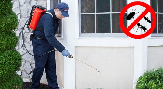 Evka 5 Karınca İlaçlama böcek ilaçlama ve haşere kontrolü — ilaclama-tr.com